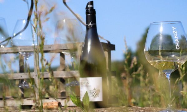 Descubrimiento y degustación de la cosecha-photo