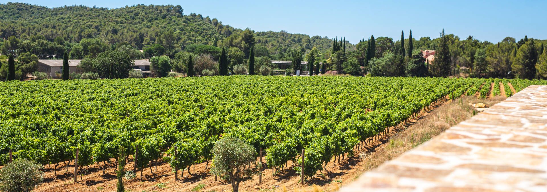 Sainte Marguerite en Provence - Rue des Vignerons