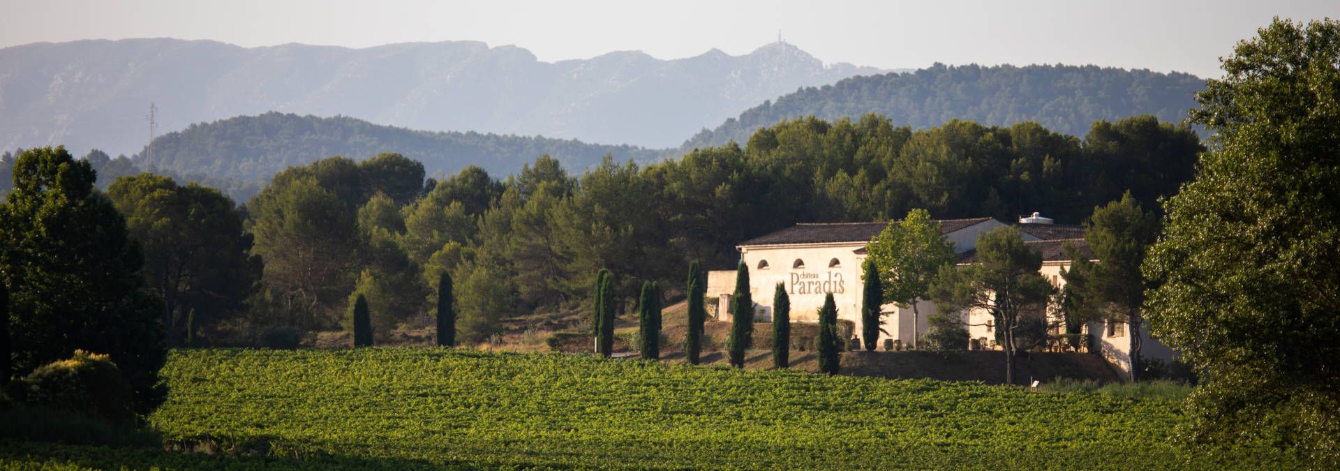 Château Paradis - Rue des Vignerons