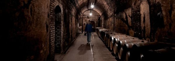 Het ontwaken van de zintuigen-photo