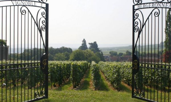 Visita al Clos y degustación-photo