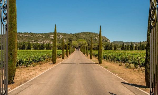 Provence Half Day Wine Tour, from Aix-en Provence-photo