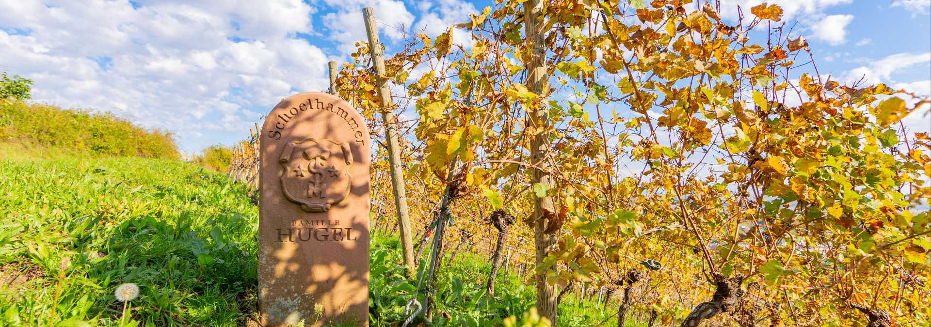 Domaine Famille Hugel, Riquewihr - Rue des Vignerons