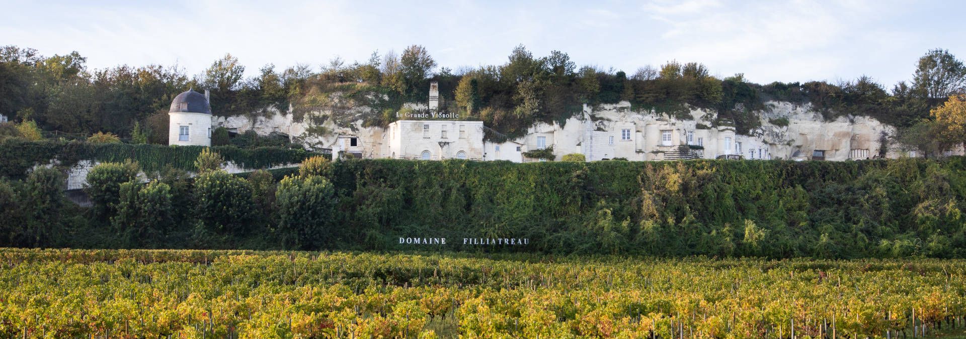 Domaine Filliatreau - La Grande Vignolle - Rue des Vignerons