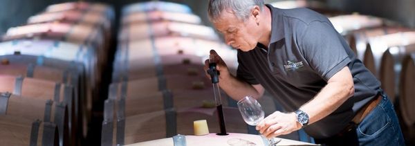 Visita al viñedo, bodega y degustación-photo