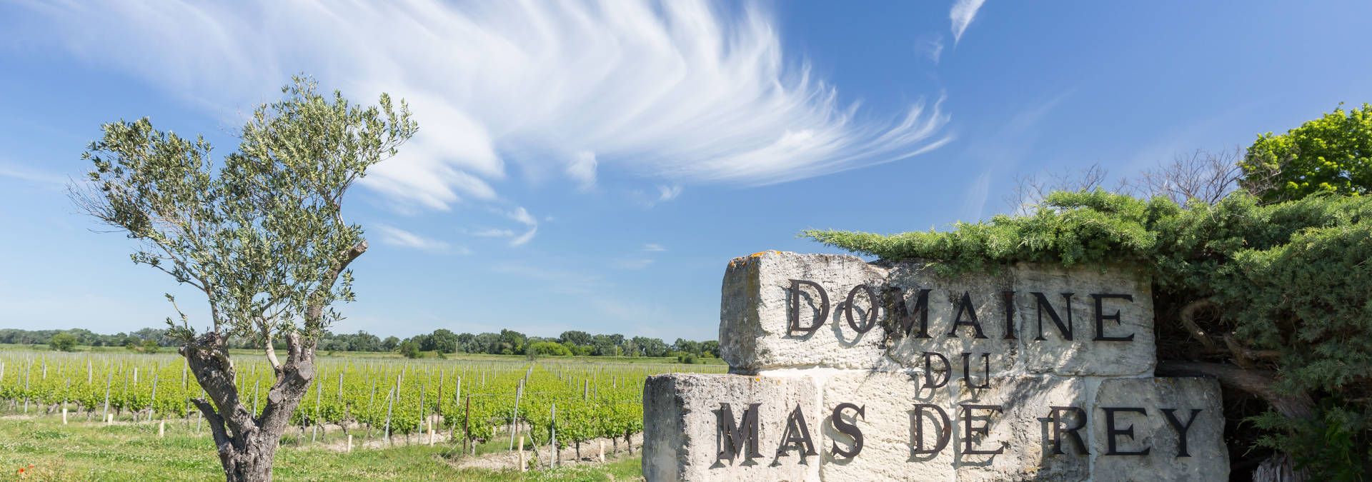 Mas de Rey - Rue des Vignerons