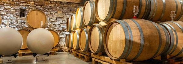 Découverte de la cave et des vins biodynamiques-photo