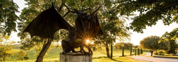 Le Sentier du Dragon-photo
