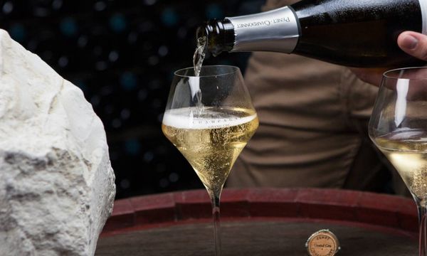 Signature Tasting-photo