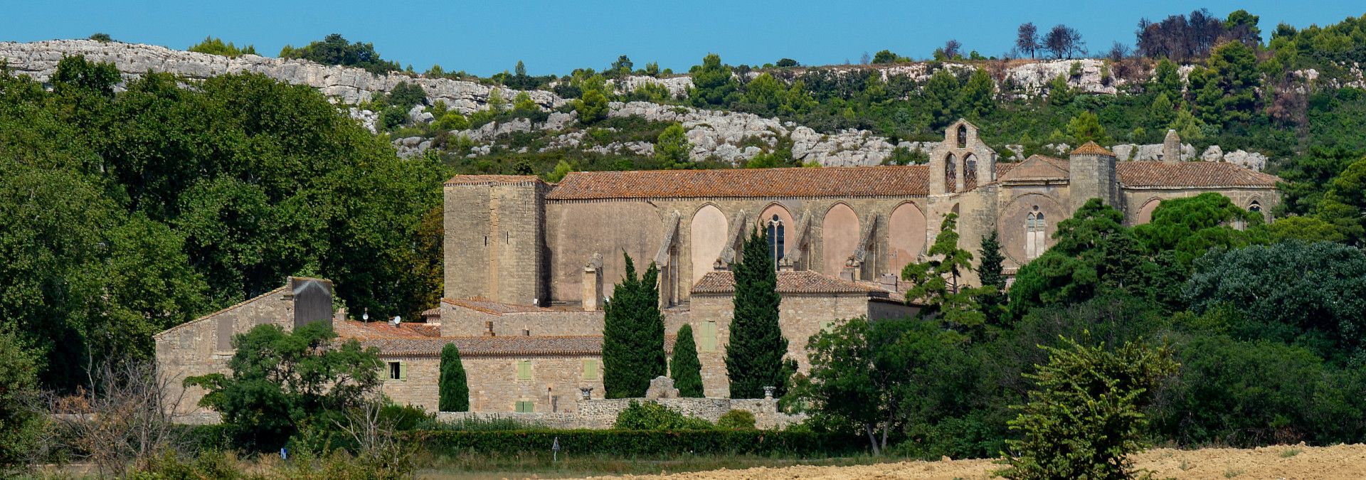 Abbaye de Valmagne - Rue des Vignerons