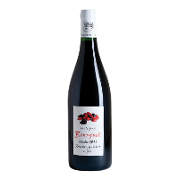 Maison Audebert & Fils Sur le fruit 2016 Rot