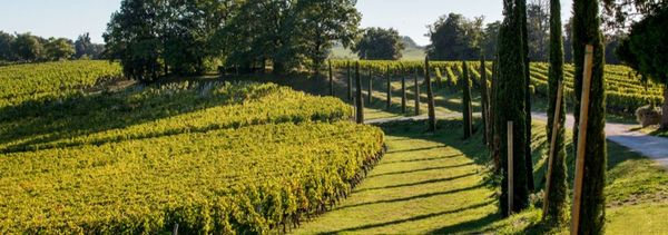 Les Terroirs de Quintus-photo