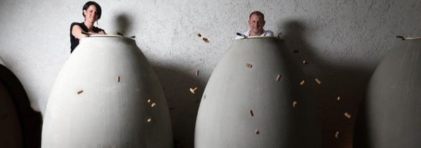 Erfahrung auf dem Weingut-photo