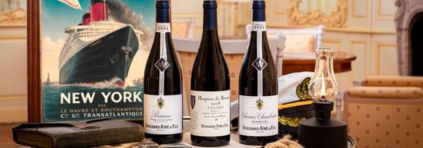 Visite & Dégustation Spéciale Vente des Vins 2026-photo