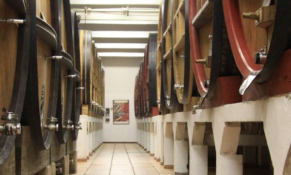 Visit of the wine storehouses and tasting-photo
