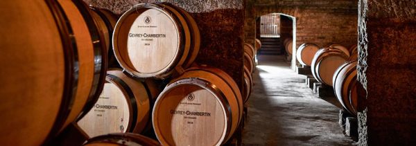 Cuverie des Ursulines (gruppo)-photo