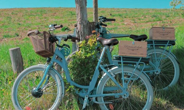 Noleggio bici elettriche per 1 giorno-photo