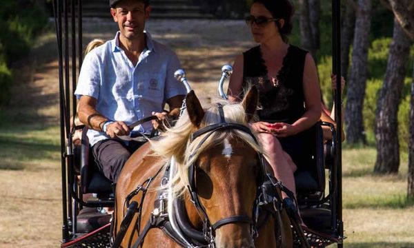 Kommentierte Tour mit der Kutsche-photo