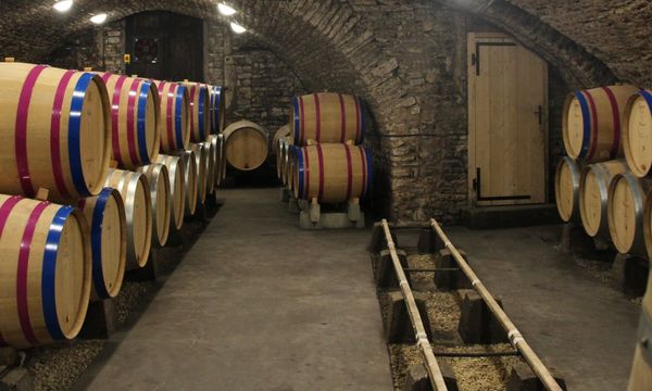 At the heart of our cellars-photo