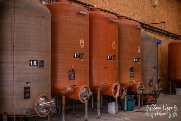 Besichtigung des Weinkellers und Weinprobe - Gruppe-photo