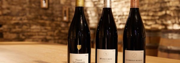 De kunst van wijn ontmoet de zoetheid van chocolade-photo