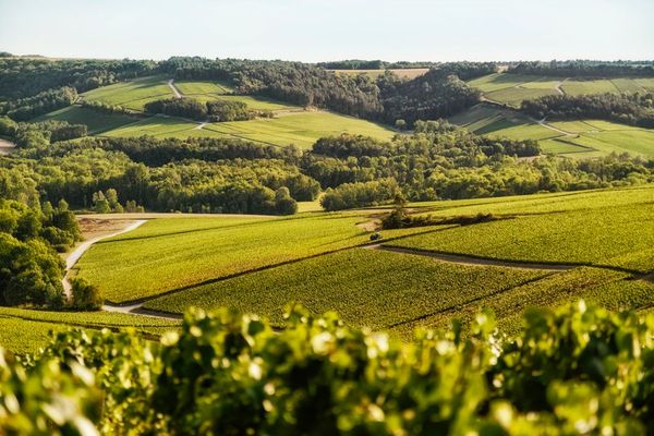 A natural moment-photo