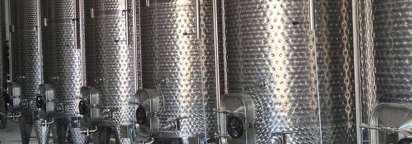 Regional tasting - visit to the winery-photo