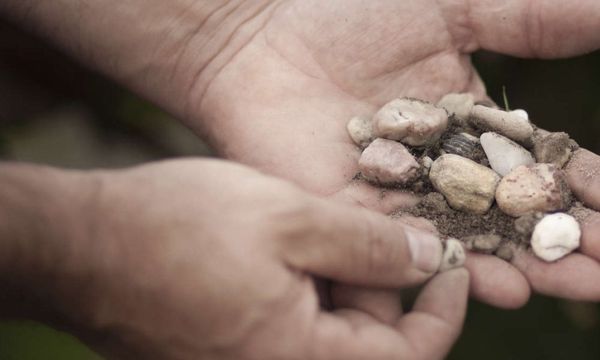 Visite Terroir-photo