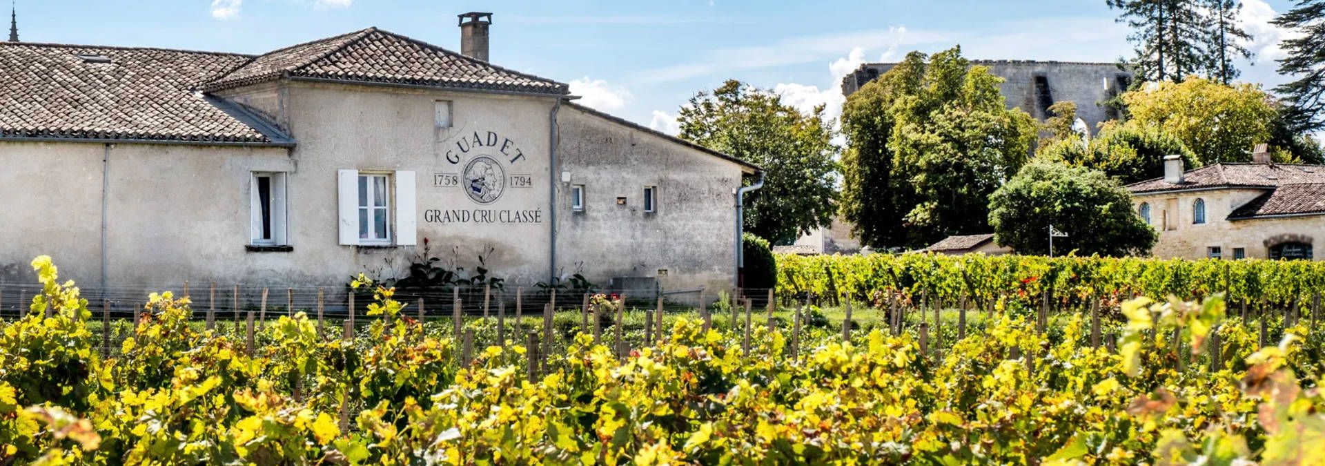Château Guadet - Rue des Vignerons