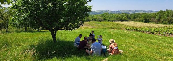 Picnic en los viñedos de Couchois-photo