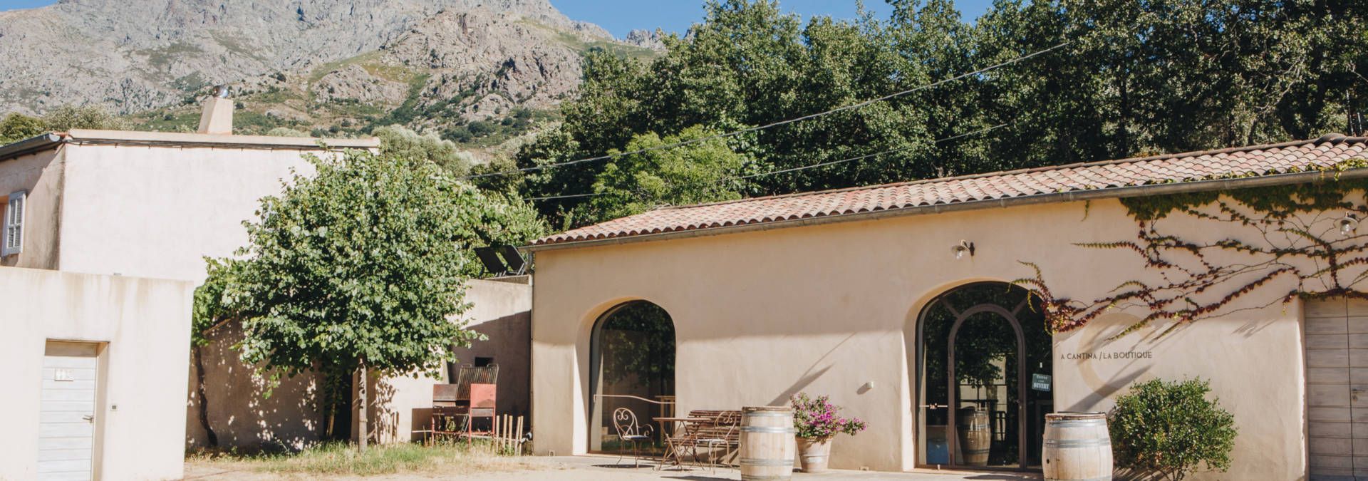 Domaine 'Alzipratu - Rue des Vignerons