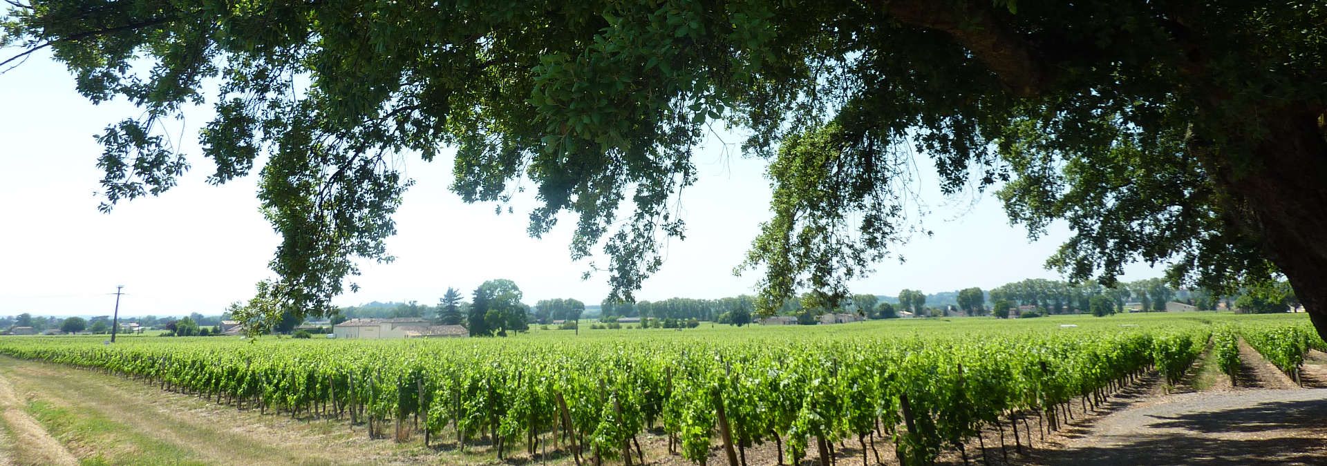 Chateau Chêne-Liège - Rue des Vignerons