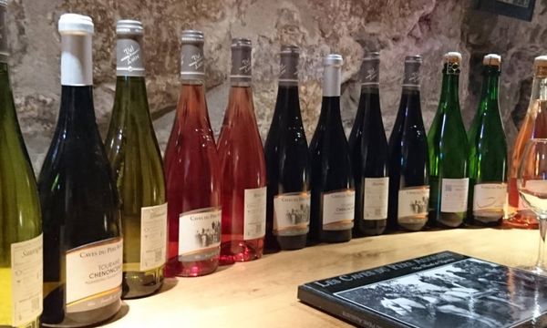 Découverte de nos vins & visite libre-photo