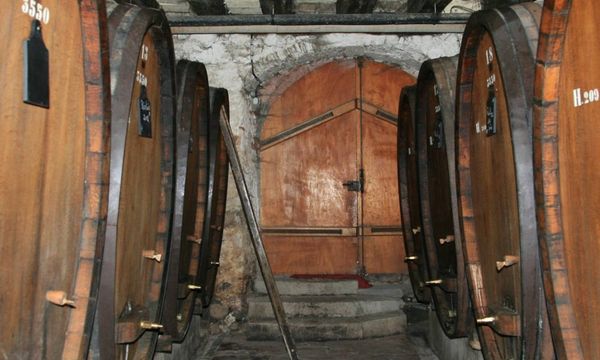 Self-tour of the cellar followed by a tasting-photo