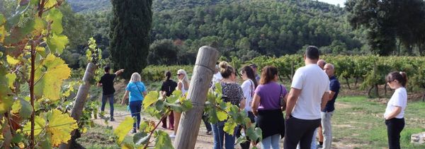 Visite du vigneron et accords mets et vins-photo