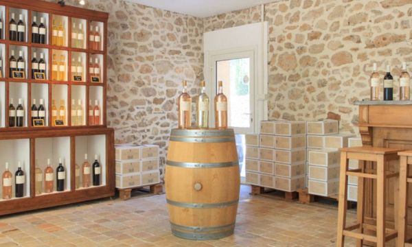 Descubrir nuestros vinos-photo