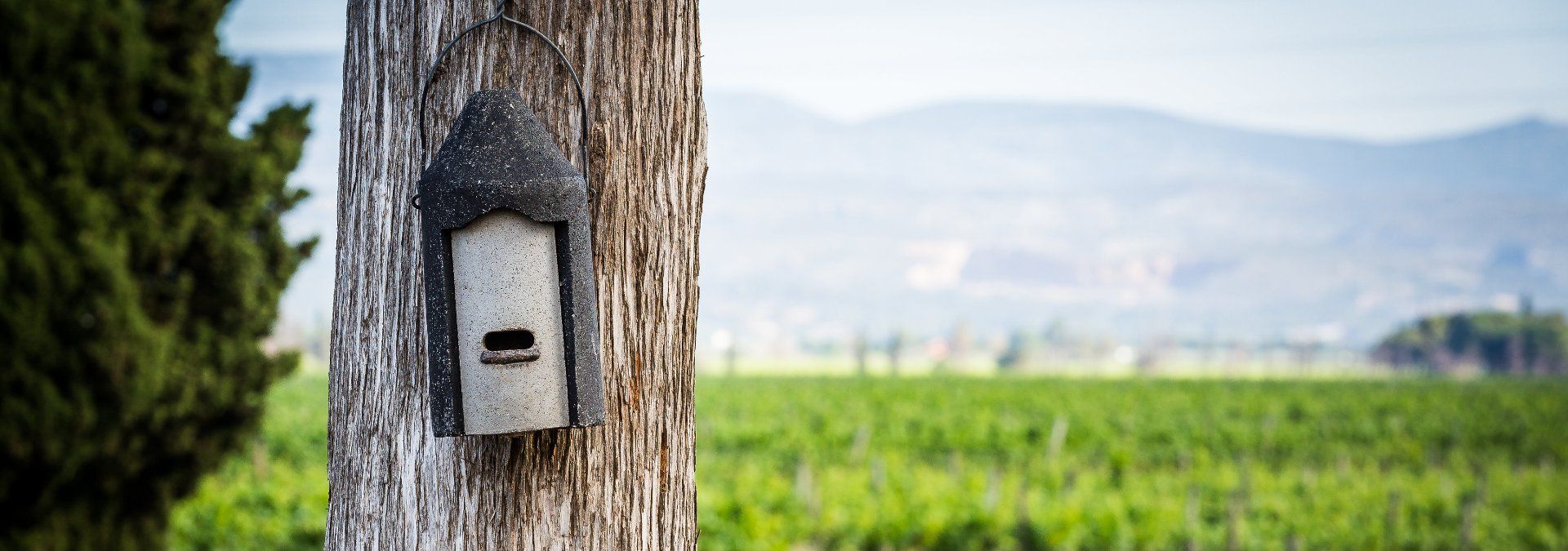 Maison Cazes - Rue des Vignerons