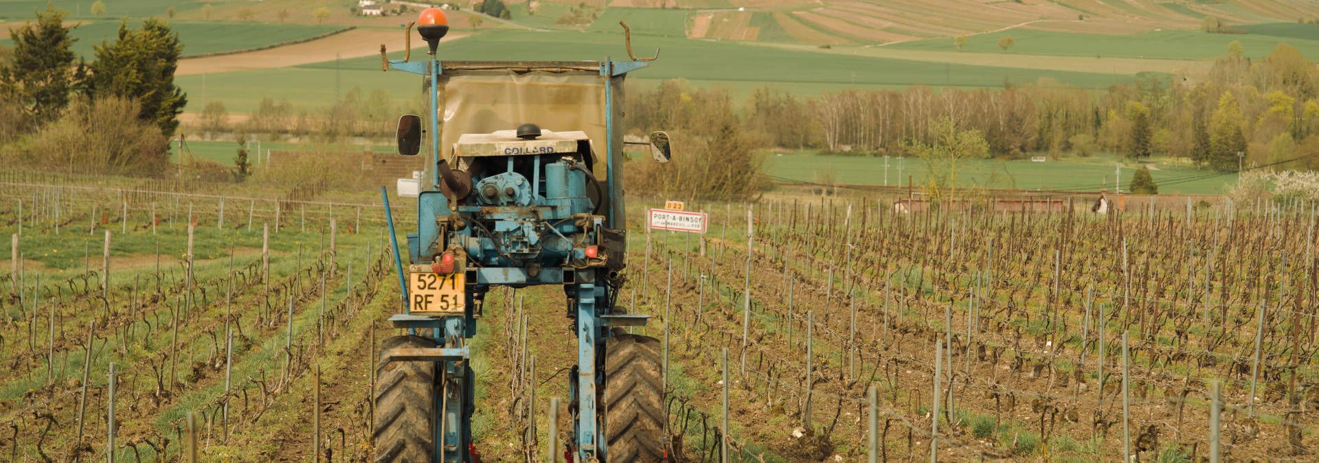 Visite Champagne Harlin Père et Fils - Rue des Vignerons