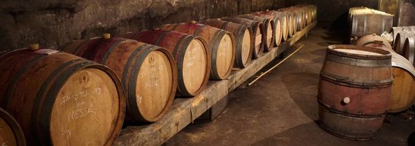 Visite de nos caves et dégustation-photo