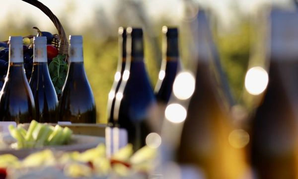 Besichtigung mit Wein- und Speisebegleitung-photo