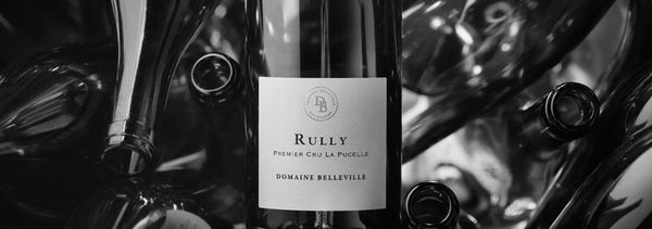 Les Essentiels 5 Vins-photo