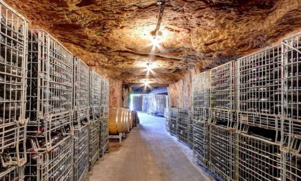 Degustación y visita a la bodega-photo