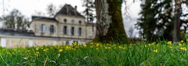 Visite en Famille-photo