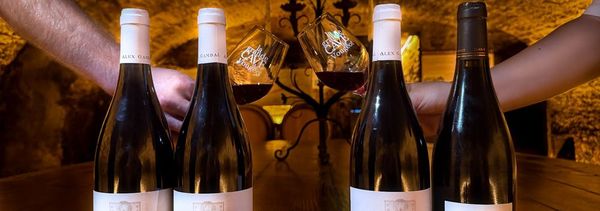 De geheimen van de terroirs van Vougeot-photo
