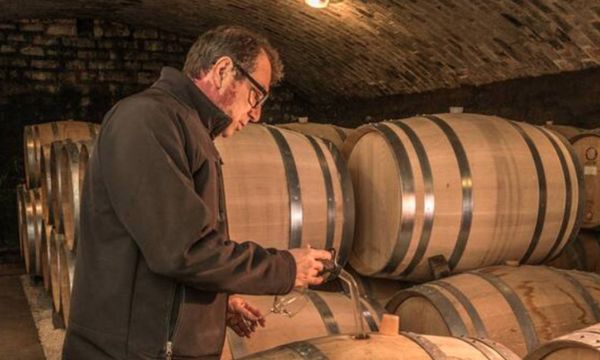In the skin of the winegrower-photo