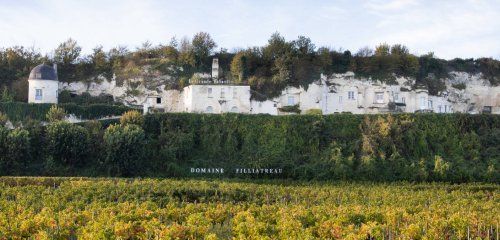 Domaine Filliatreau - La Grande Vignolle photo