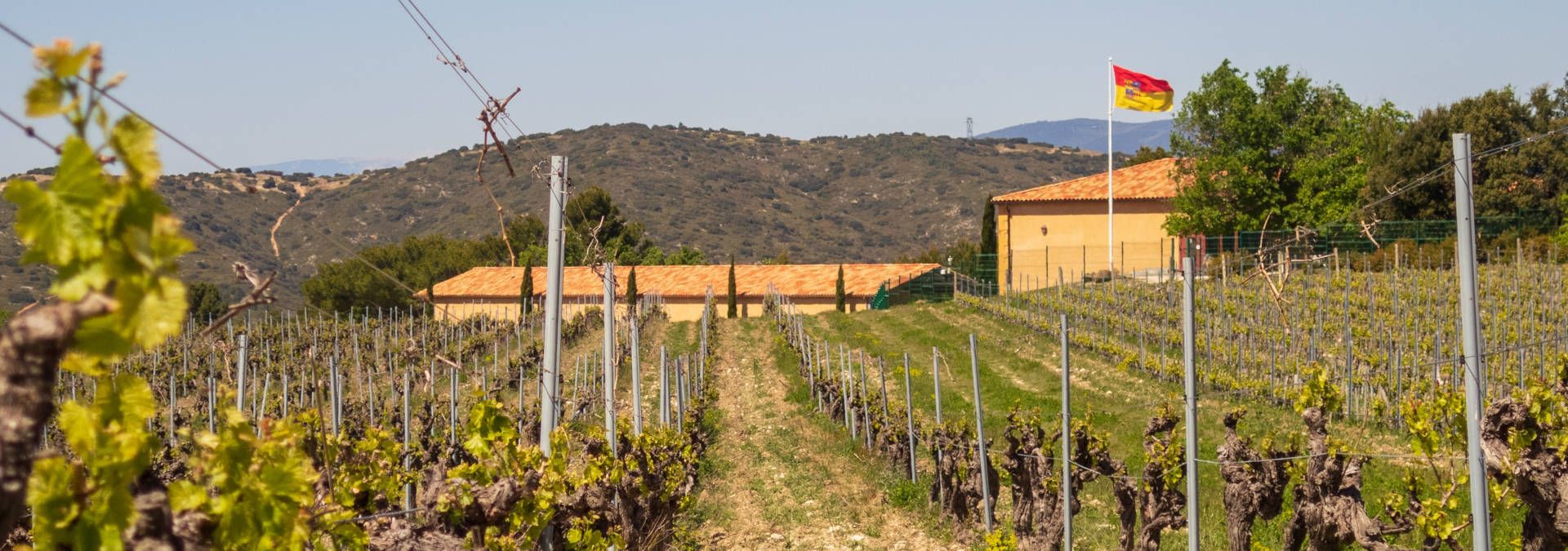 Château Beaulieu - Villa Baulieu - Rue des Vignerons