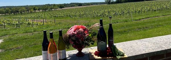 Les vins du Château-photo