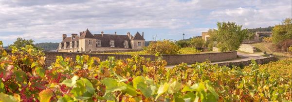 A cycle ride around the Romanée-Conti-photo