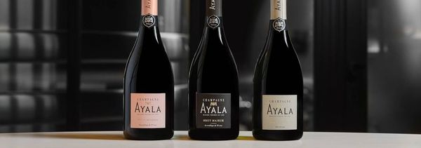 Inleiding tot de Ayala-stijl-photo
